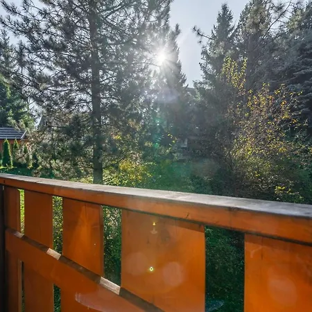 Pod Strzechą Domek alpejski *